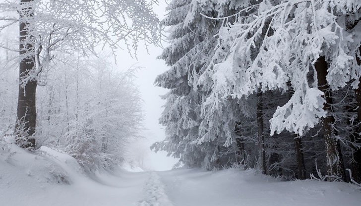 Каква е разликата в снегопочистването може сами да прецените