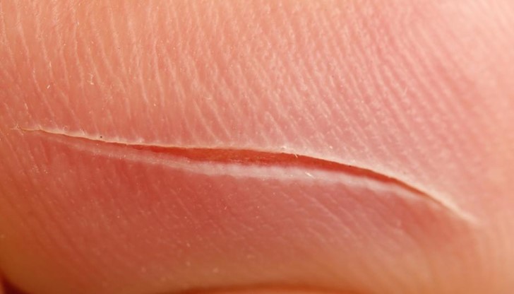 Досега това се смяташе за невъзможно при бозайници Досега това се смяташе за невъзможно при бозайници