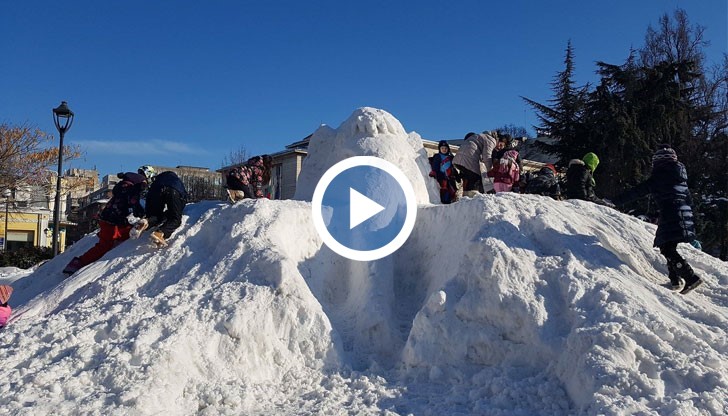 Мамутът е направен по подобие на мамута Мани от анимационния филм „Ледена епоха“, но и с намек за макета на мамут в Екомузея в Русе