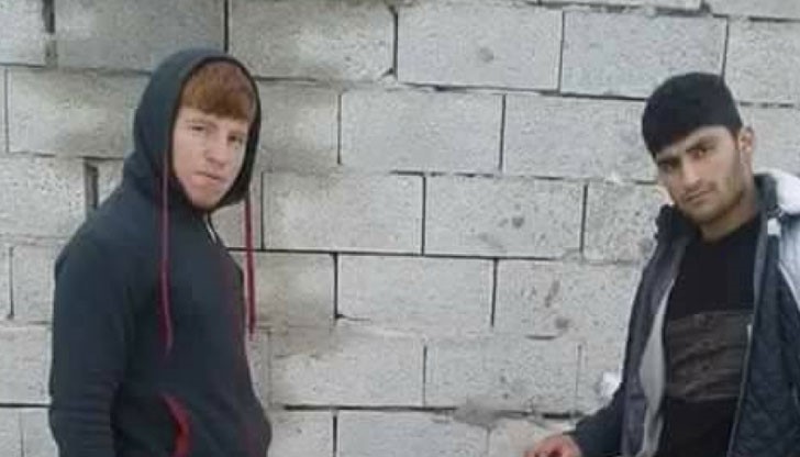 Касапи режат уши на кучета и се изживяват за герои в интернет