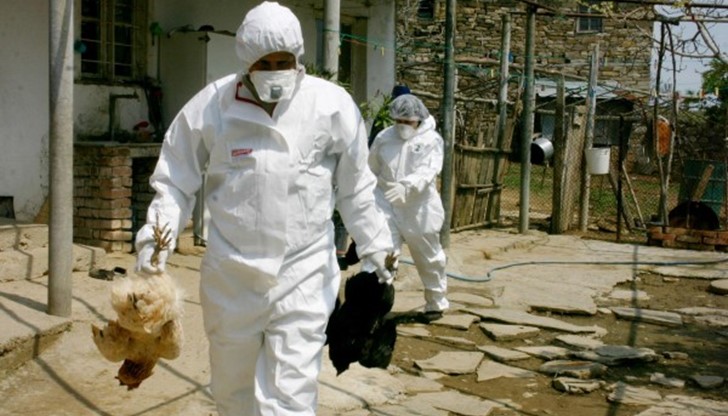 Това заболяване е доста сериозно, дори може и хората да се заразят Това заболяване е доста сериозно, дори може и хората да се заразят