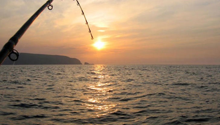 Мярката е превантивна и се налага във връзка с констатирани огнища на болестта инфлуенца (грип) при домашни и диви птици в България