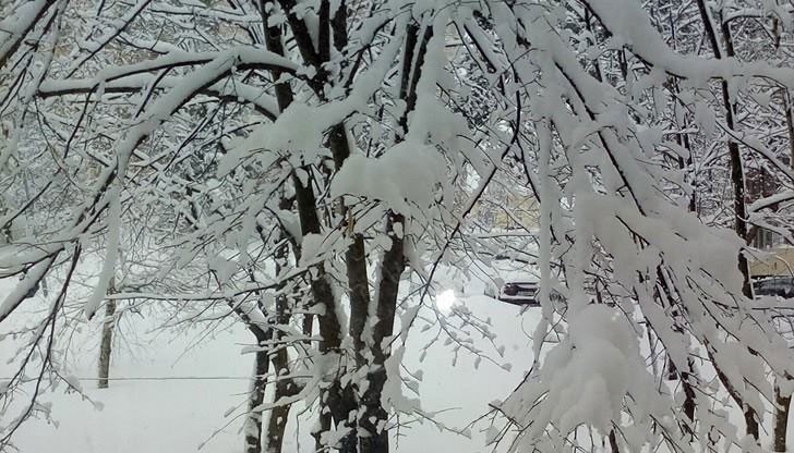 Очаква се термометрите в Русе да отчетат до -12 градуса в съботния ден Очаква се термометрите в Русе да отчетат до -12 градуса в съботния ден