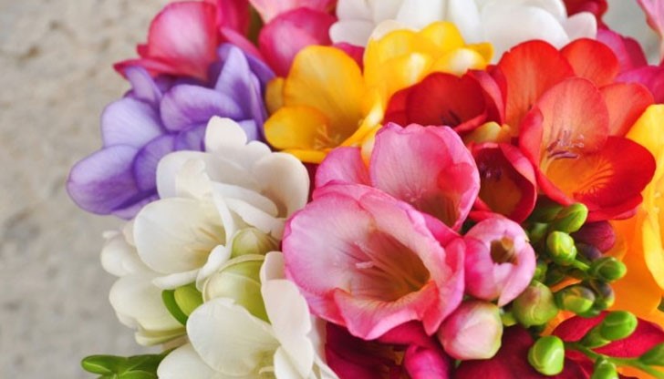 Бъдете здрави и щастливи!