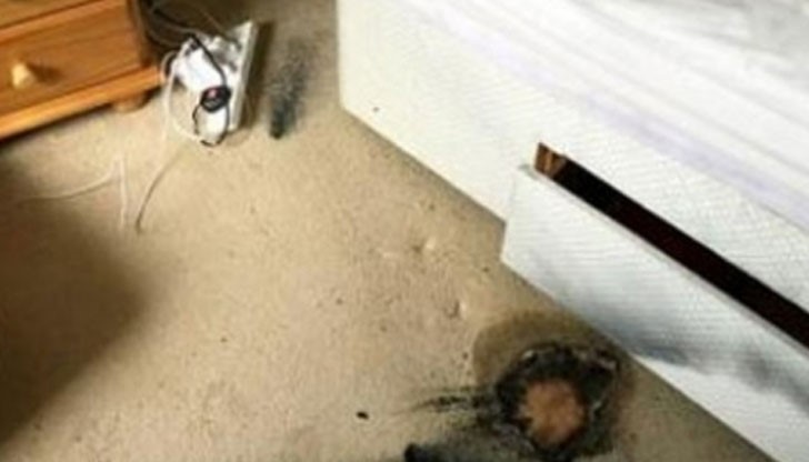 В паника се опитала да се бори с огъня, но за съжаление получила сериозни изгаряния В паника се опитала да се бори с огъня, но за съжаление получила сериозни изгаряния