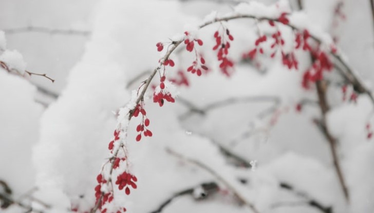 Обичаме ли го или го мразим, той е основна част от зимата на много хора! Обичаме ли го или го мразим, той е основна част от зимата на много хора!