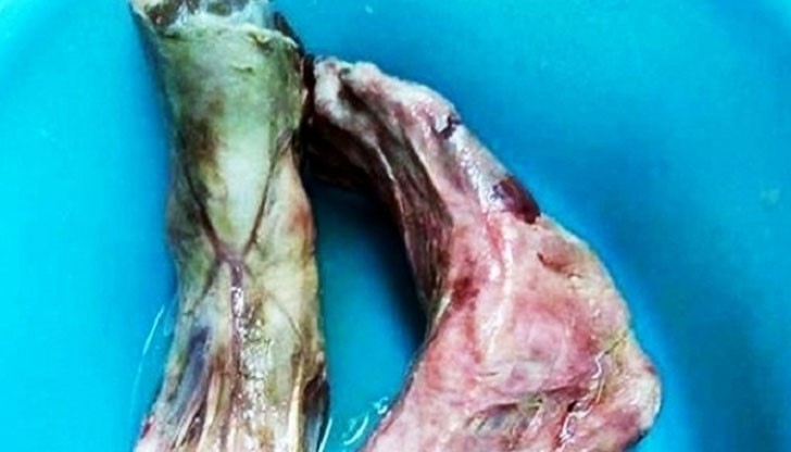 Келнер снимал съмнително блюдо