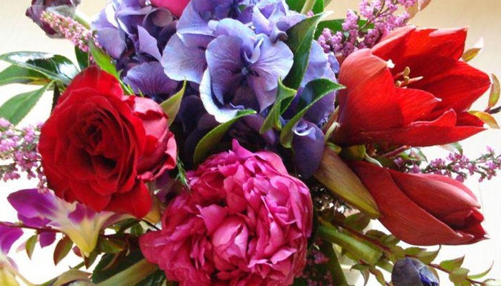 На Антоновден празнуват носещите имената: Антон, Андон, Донка, Антония, Антоанета, Андония, Tончо, Тонка На Антоновден празнуват носещите имената: Антон, Андон, Донка, Антония, Антоанета, Андония, Tончо, Тонка