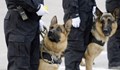 Полицейско куче спаси 2-годишно дете