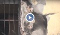 Русенци се евакуираха, заради горящ контейнер