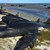 400 кита заседнаха на плаж в Нова Зеландия