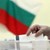 Българите в чужбина трябва да подадат декларации за гласуване