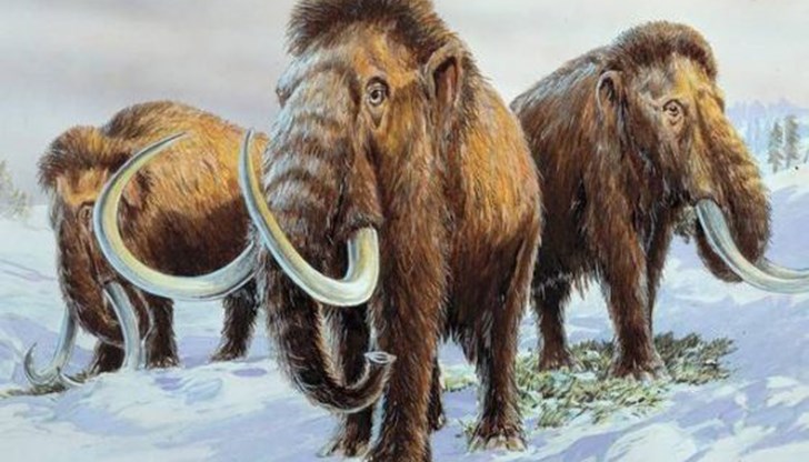 Животно изчезнало преди 4000 години ще възкръсне