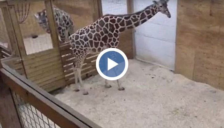 Кадрите съдържали голота и сексуално съдържание