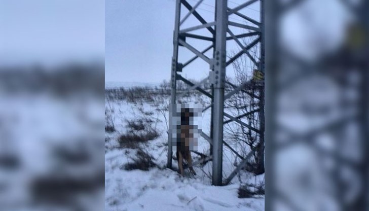 То е оставено да виси пред погледа на минувачи, най-вероятно и на деца...