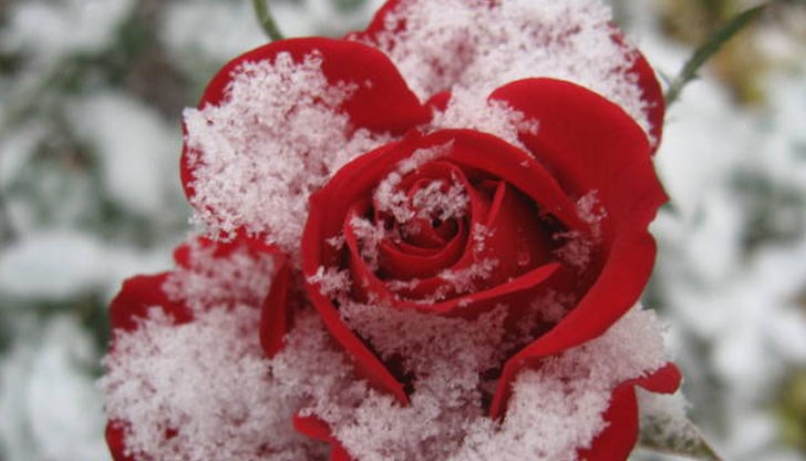 Приятен и спокоен почивен ден! Приятен и спокоен почивен ден!