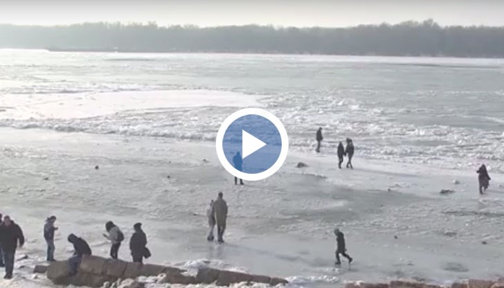 Въпреки риска ледът да се пропука заради топлото време, десетки русенци се престрашиха да се разходят по замръзналия Дунав