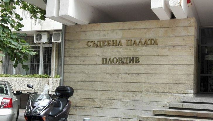 Хитрушата дала фалшиво платежно за да спре описа на имуществото й Хитрушата дала фалшиво платежно за да спре описа на имуществото й