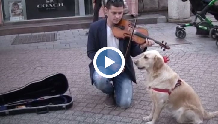 Тера вие глас под съпровод на цигулка