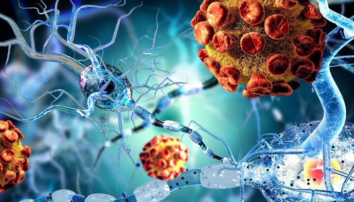 В списъка фигурират бактерии, които причиняват сепсис, пневмония, салмонела В списъка фигурират бактерии, които причиняват сепсис, пневмония, салмонела