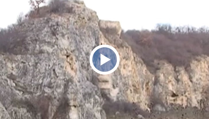 Той е посветен на Седмицата на гората