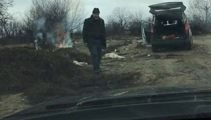 Собственикът на кучетата е гледал как те изгарят