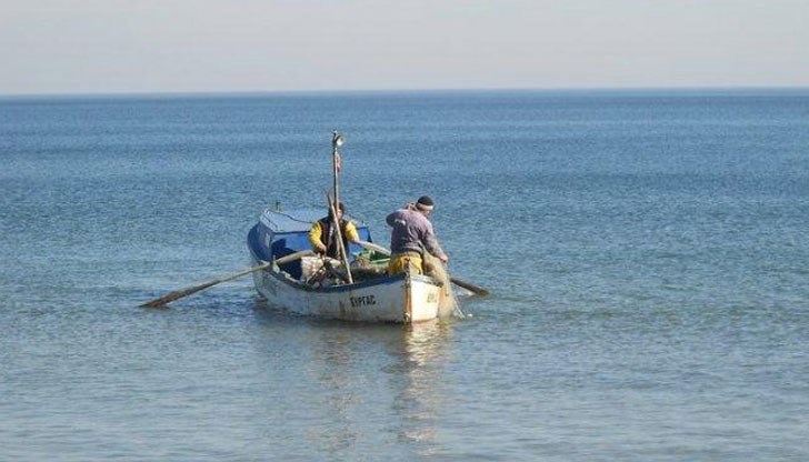 От 26 вида риби в Черно море са останали само 6 От 26 вида риби в Черно море са останали само 6