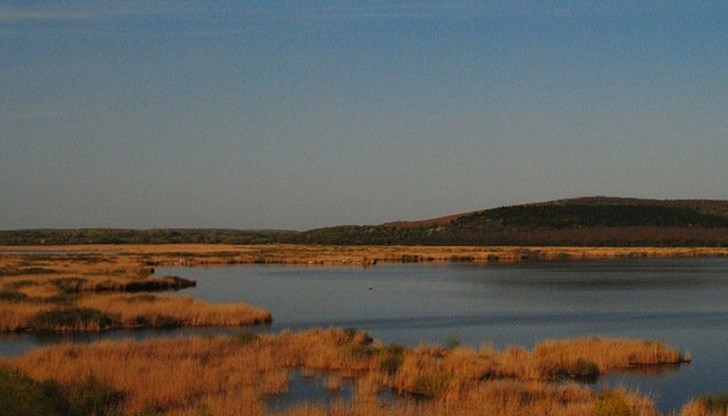 Нарушителите са били установени по дигата между двата шлюза на захранващия канал на езерото Нарушителите са били установени по дигата между двата шлюза на захранващия канал на езерото