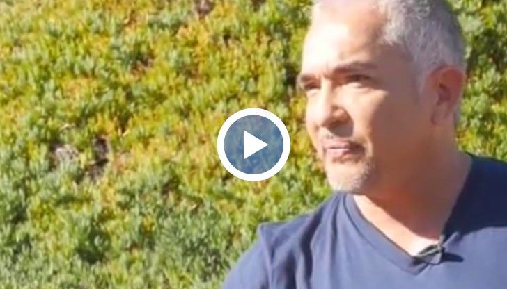 Сизър Милан разкри как е започнал да общува с животни