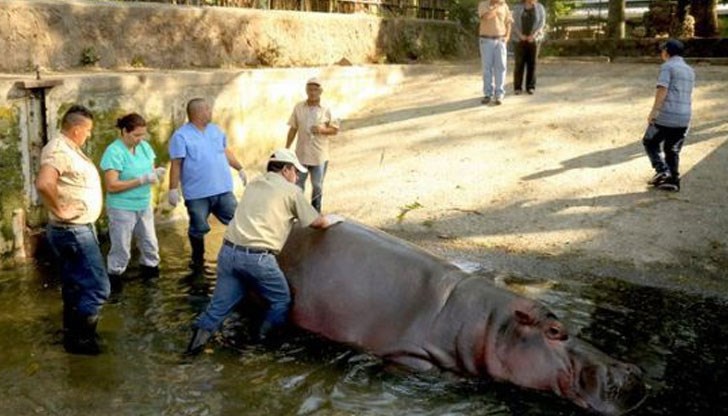 Нападението е станало миналия вторник вечерта, но служителите на зоопарка не разбрали за случилото се до четвъртък