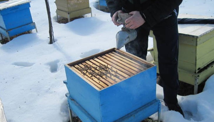 Очаква се медът да поскъпне