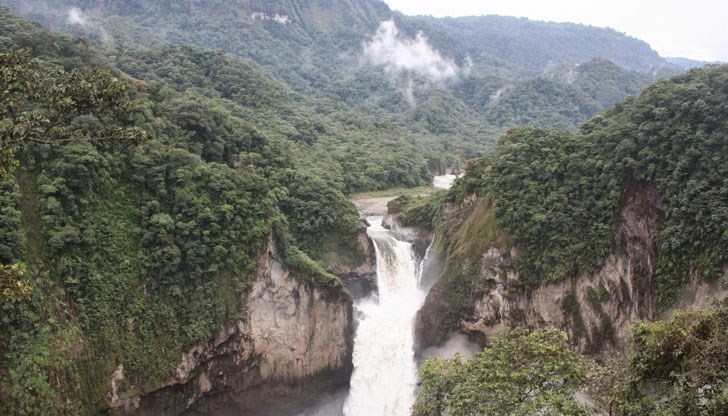 В момента там има бум на жълта треска, която наподобява чумата В момента там има бум на жълта треска, която наподобява чумата