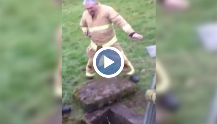 Огнеборците са известни със своята смелост и самопожертвователност. Но сега излиза, че те могат да проявят и неподозирани умения