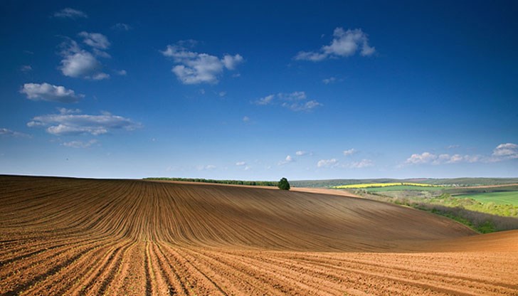 Земите с неясна собственост ще бъдат отдавани под аренда за петгодишен период