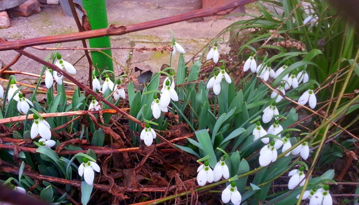 Над страната ще има разкъсана облачност, предимно значителна Над страната ще има разкъсана облачност, предимно значителна