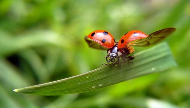 Над нас издевателства човек с псих(олог)ически проблеми, със сериозни дегенеративни изменения на мозъчната кора Над нас издевателства човек с псих(олог)ически проблеми, със сериозни дегенеративни изменения на мозъчната кора
