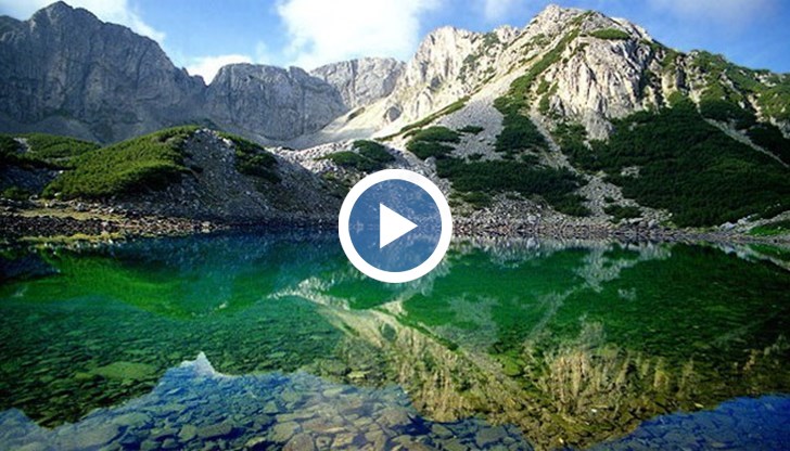 Лентата, дълга около 12 минути и публикувана от издателска къща „Българи“