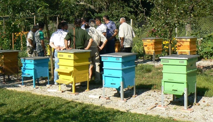 Смъртността достигна 60%