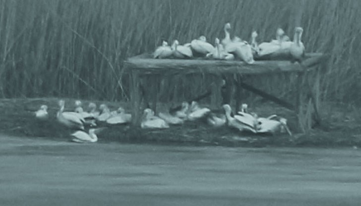 Езерото все още е покрито с 30-40 см лед Езерото все още е покрито с 30-40 см лед