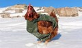 Пенсионерки плетат пуловери за пилета