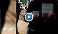 Скандално видео от изборния ден в Русе