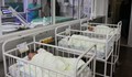Служебният кабинет измисли стандарт за бебетата
