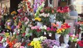 В Русе 4 обекта за цветя изгърмяха!