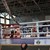 Започна Републиканско първенство по бокс за ученици