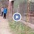 Цигани се гаврят с животни в зоопарк