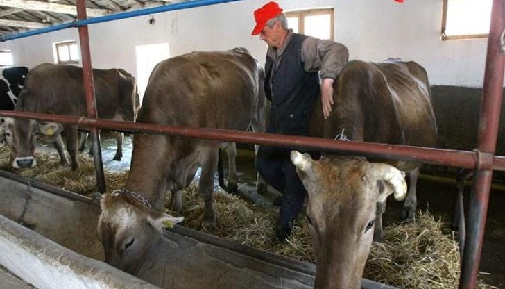 Малко преди Великден ще им изплатят субсидиите