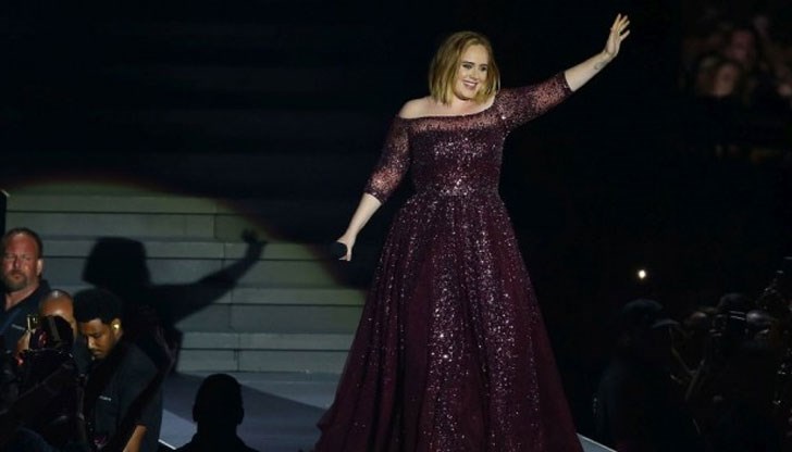 По време на концерт британската суперзвезда потвърди слух за себе си По време на концерт британската суперзвезда потвърди слух за себе си