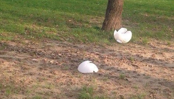 Призовават се гражданите да сигнализират, ако станат свидетели на нарушения