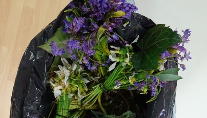 РИОСВ – Русе конфискуваха 89 букетчета