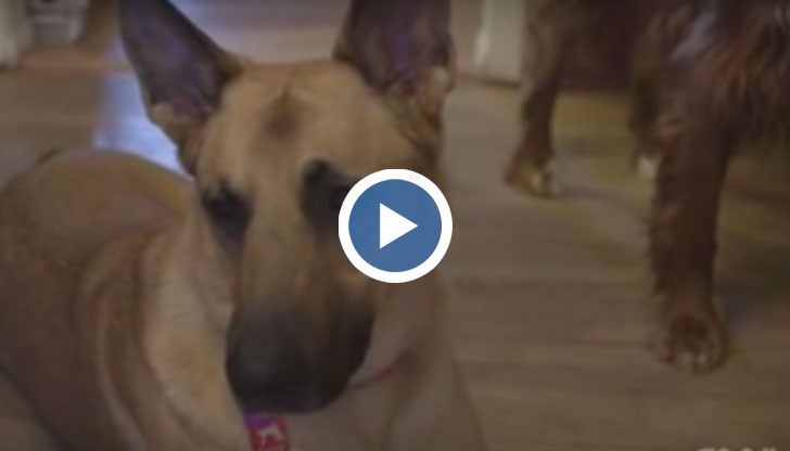 ДНК тест доказва, че Джеб не е убиец